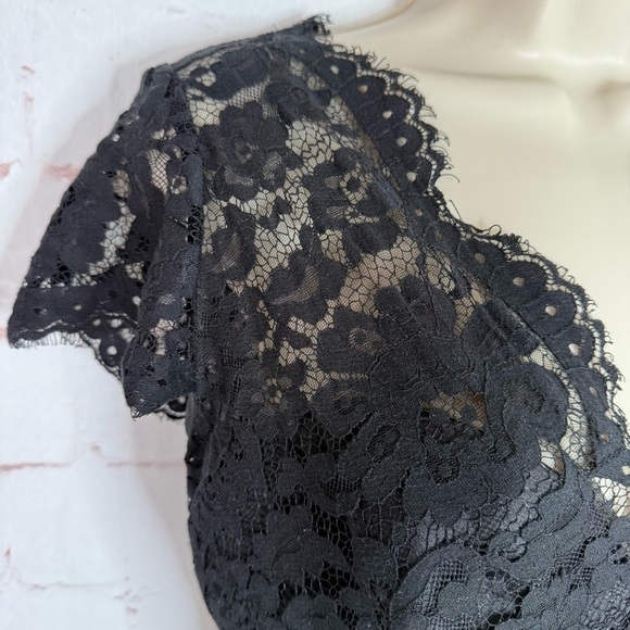 NOIR by Lazaro Black Chantilly Lace Silk Organza Formal Evening Gown Size 12 - Picture 12 of 16